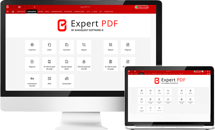 Pack Microsoft 365 Famille + Expert PDF Pro 15– téléchargement